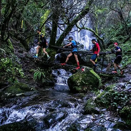 Feriehus Beautiful House *