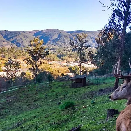 Feriehus Beautiful House