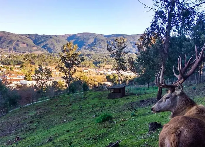 Prázdninový dům Beautiful House